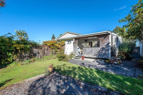 Photo of property in 33 Owhango Road, Owhango, 3990
