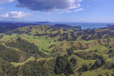 Photo of property in 15 Webb Road, Durie Hill, Whanganui, 4500