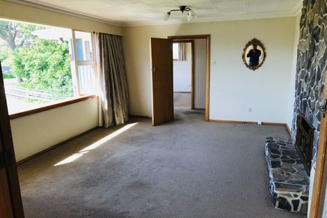 Photo of property in 115 Highcliff Road, Shiel Hill, Dunedin, 9013
