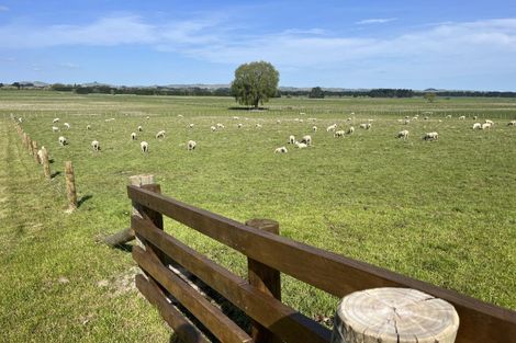 Photo of property in 96 Farm Road, Waipukurau, 4284
