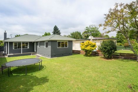 Photo of property in 42 Manson Street, Terrace End, Palmerston North, 4410