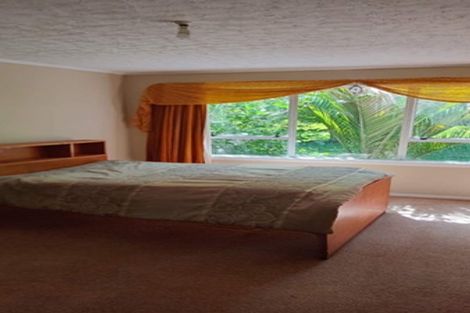 Photo of property in 133 Kohaihai Road, Karamea, 7893