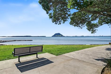 Photo of property in 42 Vale Street, Otumoetai, Tauranga, 3110