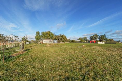 Photo of property in 55 Roots Street East, Feilding, 4702