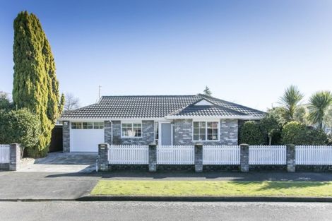 Photo of property in 58 Windsor Street, Terrace End, Palmerston North, 4410