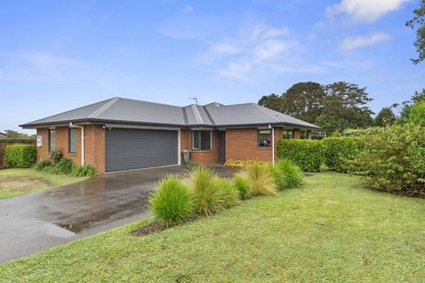 Photo of property in 14 Burmester Place, Morrinsville, 3300