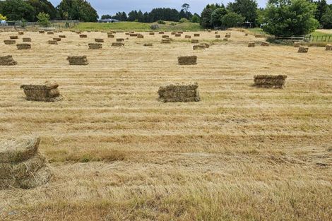 Photo of property in 965 Koputaroa Road, Koputaroa, Levin, 5575