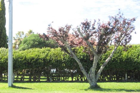 Photo of property in 221 Harris Street, Inner Kaiti, Gisborne, 4010