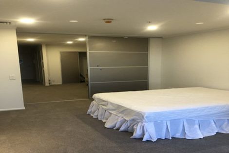 Photo of property in Luna Apartments, 4c/16 Burton Street, Grafton, Auckland, 1010