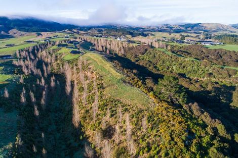 Photo of property in 17 Chatfield Lane, Aokautere, 4471