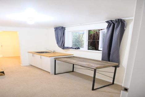 Photo of property in 64 Norway Street, Aro Valley, Wellington, 6012