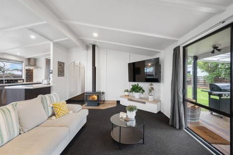 Photo of property in 6 Clyde Street, Renwick, 7204