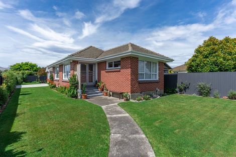 Photo of property in 118 Edinburgh Street, Spreydon, Christchurch, 8024