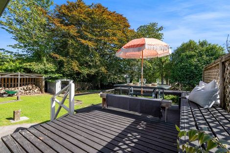 Photo of property in 58 Regan Street, Stratford, 4332