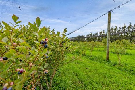 Photo of property in 438 Alfred Road, Kaimiro, New Plymouth, 4371