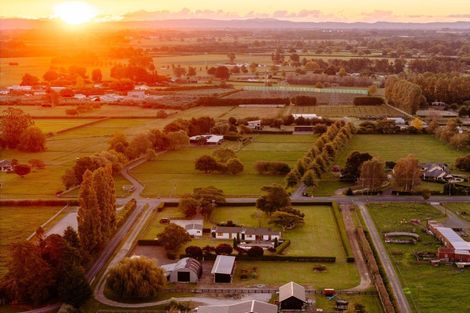 Photo of property in 48 Peake Road, Cambridge, Hamilton, 3283