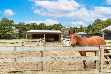 Photo of property in 42 Westminster Glen, Matakana, Warkworth, 0985