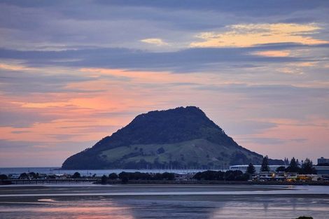 Photo of property in 75 Fifth Avenue, Tauranga, 3110