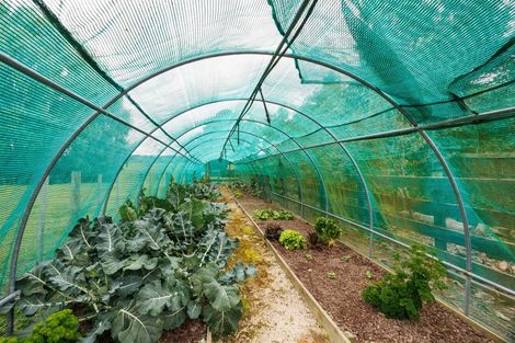 Photo of property in 552 Porewa Road, Marton, 4787