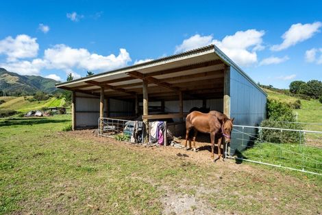 Photo of property in 226 Mangahao Road, Shannon, Palmerston North, 4474