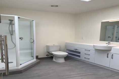 Photo of property in 2 Couldry Street, Eden Terrace, Auckland, 1021