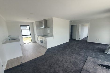 Photo of property in 97 Hinemoa Street, Levin, 5510