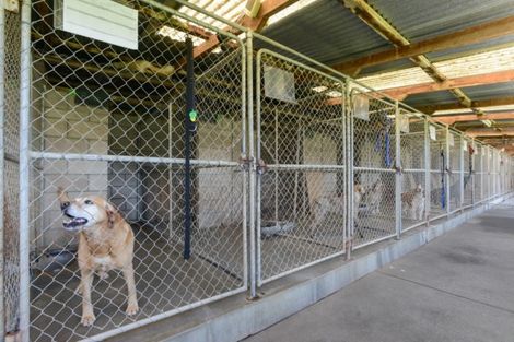 Photo of property in 41 Gavin Black Street, Meeanee, Napier, 4112