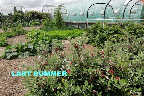 Photo of property in 22 Ferry Street, Wyndham, 9831