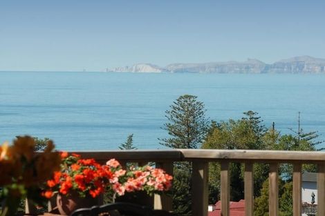 Photo of property in 11a Lucy Road, Bluff Hill, Napier, 4110