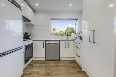 Photo of property in 1/1 Peguero Place, Totara Heights, Auckland, 2105