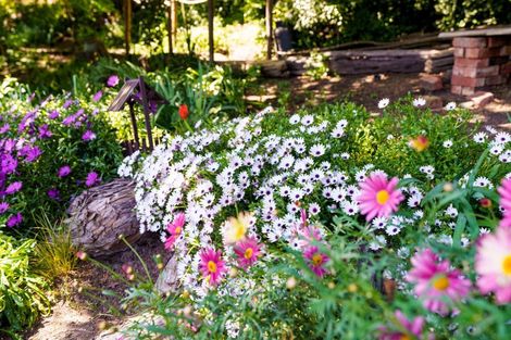 Photo of property in 20 Greenhithe Street, Waihola, Milton, 9073