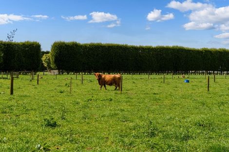 Photo of property in 270 Matahui Road, Aongatete, Katikati, 3181
