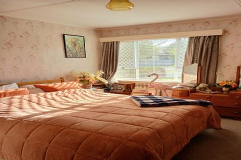 Photo of property in 29 Princes Street, Waihi, 3610