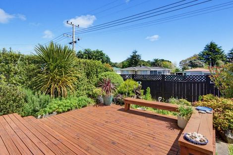 Photo of property in 3 Armagh Street, Levin, 5510
