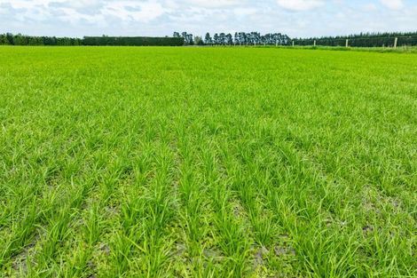 Photo of property in 609 Woodstock Road, Burnt Hill, Oxford, 7495