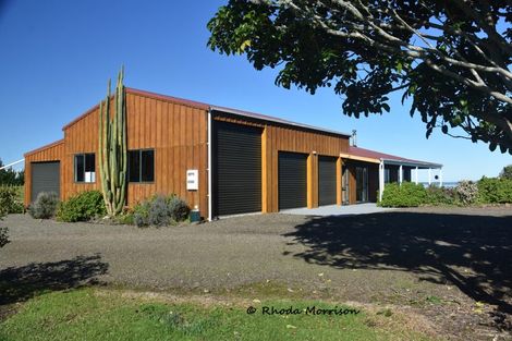 Photo of property in 986 Tinopai Road, Tinopai, Matakohe, 0593