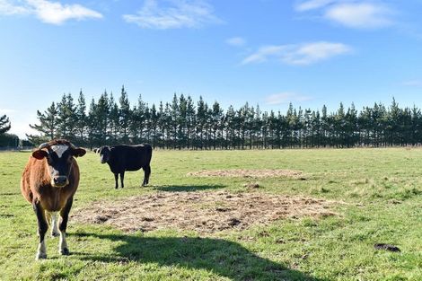 Photo of property in 144 Revells Road, Flaxton, Rangiora, 7691