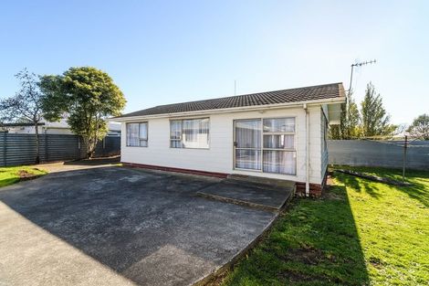 Photo of property in 113 Featherston Street, Palmerston North, 4410