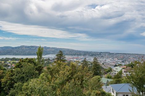 Photo of property in 3 Vickery Place, Maryhill, Dunedin, 9011