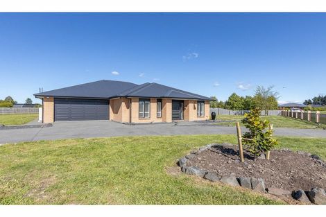 Photo of property in 9 Fantail Avenue, Amberley, 7410