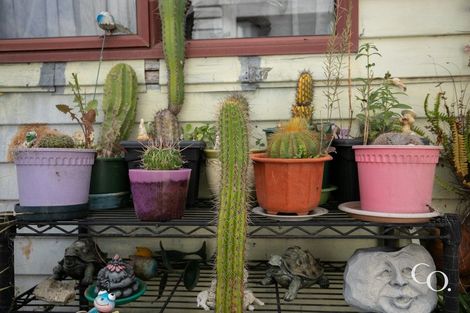 Photo of property in 512 Southampton Street East, Hastings, 4122