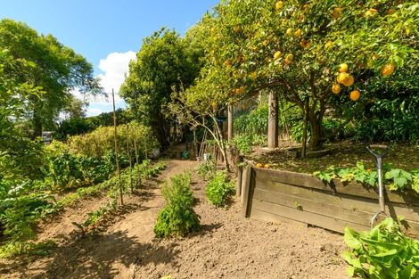 Photo of property in 20 Panorama Drive, Welcome Bay, Tauranga, 3175