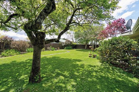 Photo of property in 49b Cornwall Street, Masterton, 5810