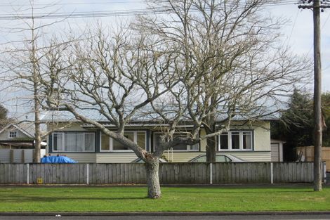 Photo of property in 197b Galloway Street, Hamilton East, Hamilton, 3216