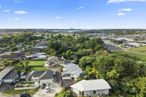 Photo of property in 15 Stamford Place, Ohauiti, Tauranga, 3112