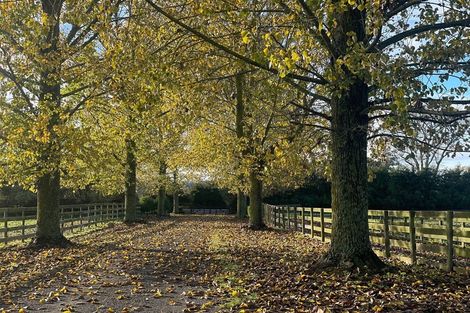 Photo of property in 353 Victoria Road, Pukemoremore, Cambridge, 3493