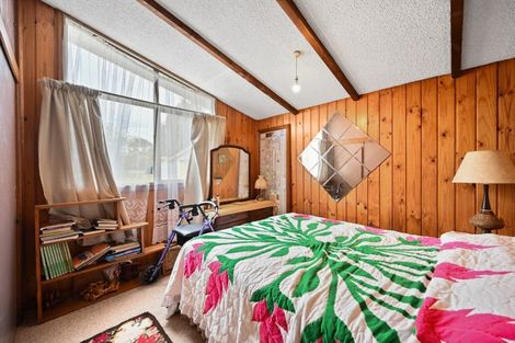 Photo of property in 738 Tuhikaramea Road, Ngahinapouri, Hamilton, 3290