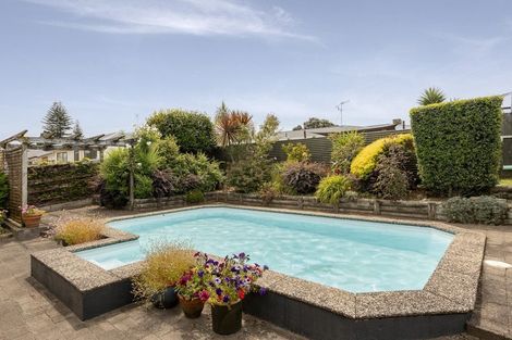 Photo of property in 17 Glenfield Place, Brookfield, Tauranga, 3110