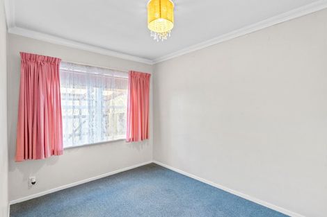 Photo of property in 58 Winchester Street, Levin, 5510