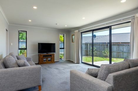 Photo of property in 42d Brydon Street, Renwick, 7204